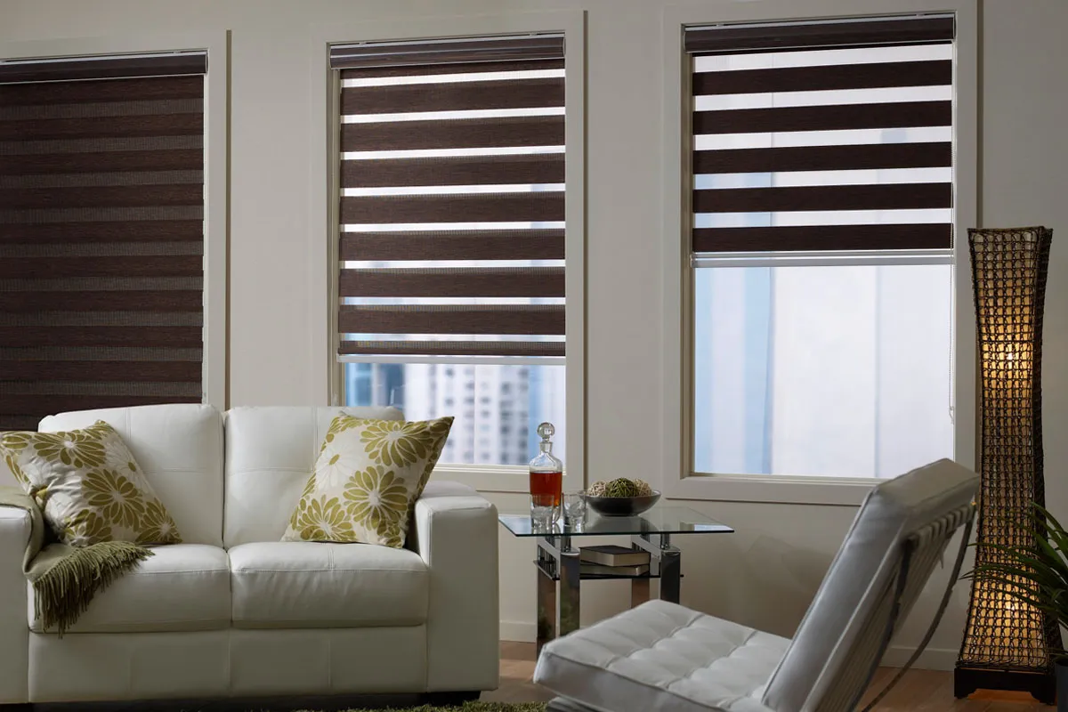5 Things To Know About Zebra Blinds
