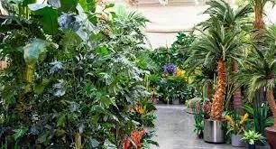 Artificial Plants for Outdoor Spaces: A Perfect Solution