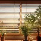 Window Treatment