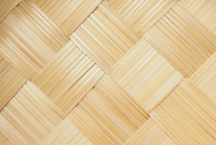 Bamboo Flooring