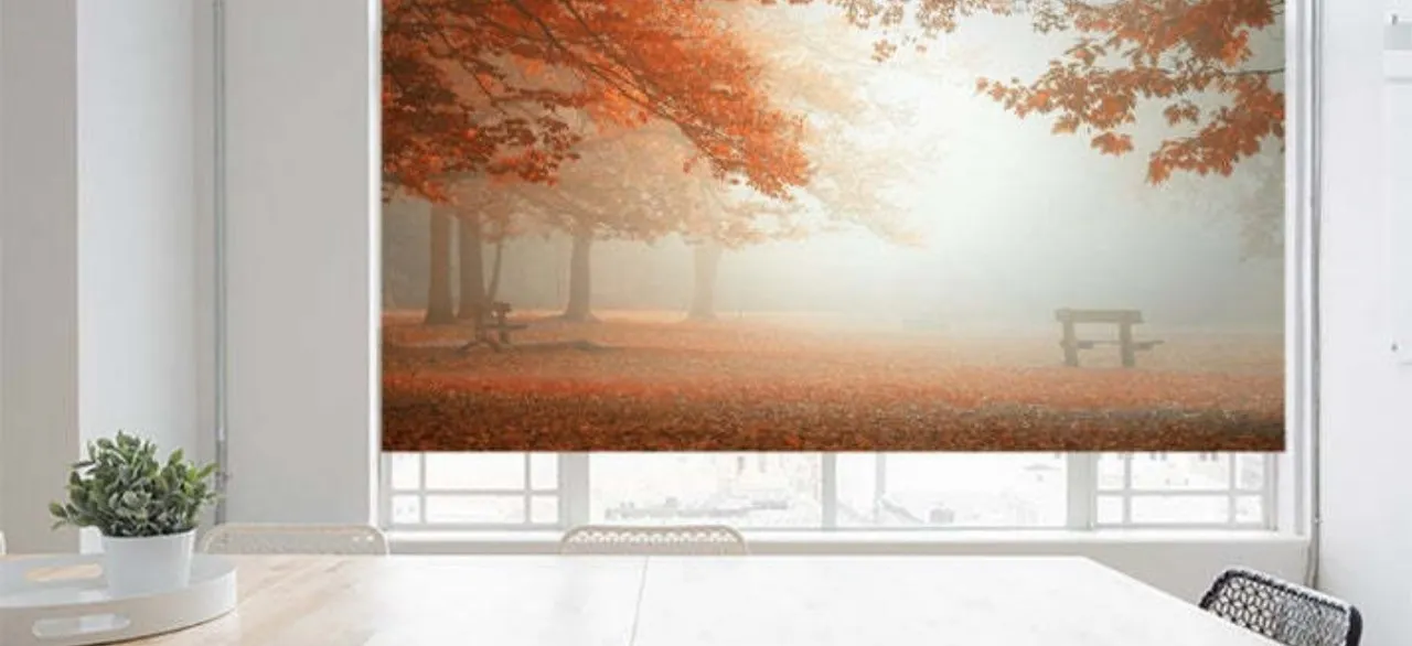 Customized Blinds