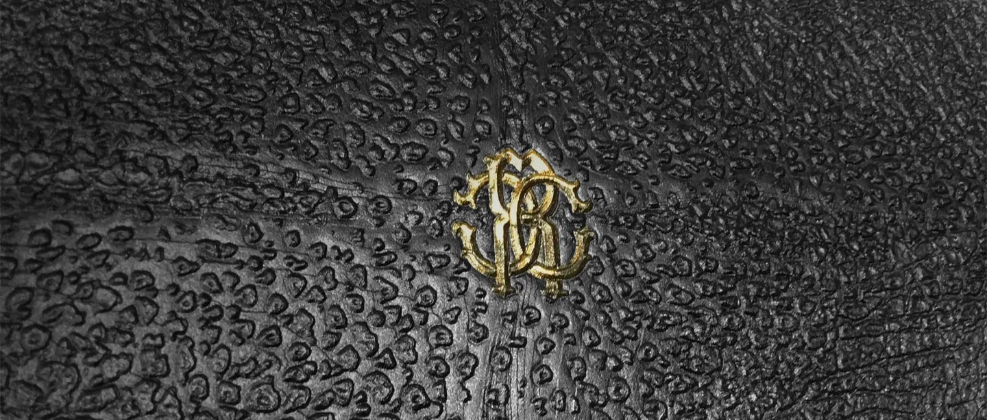 Roberto Cavalli Wallpapers