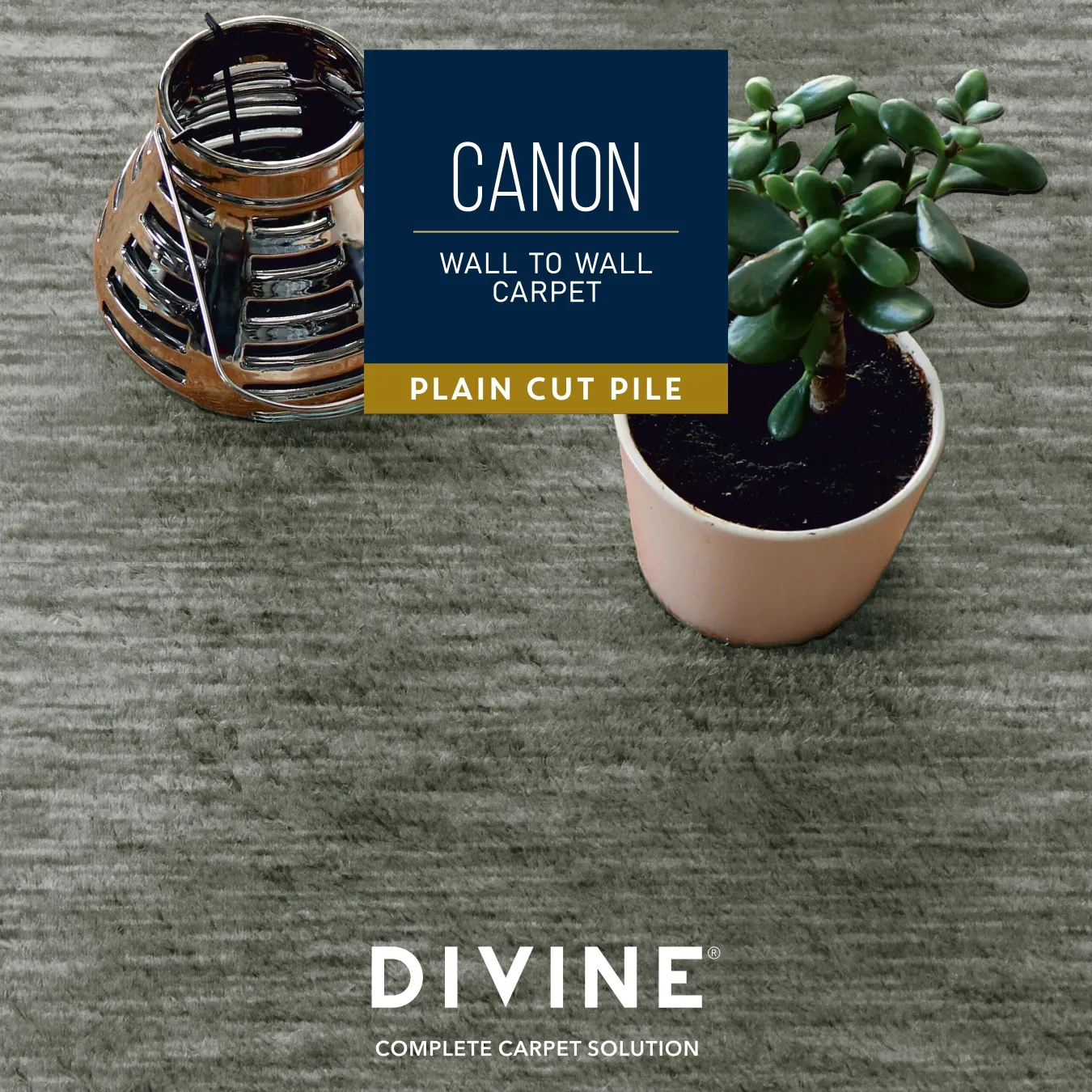 Divine Carpet Roll