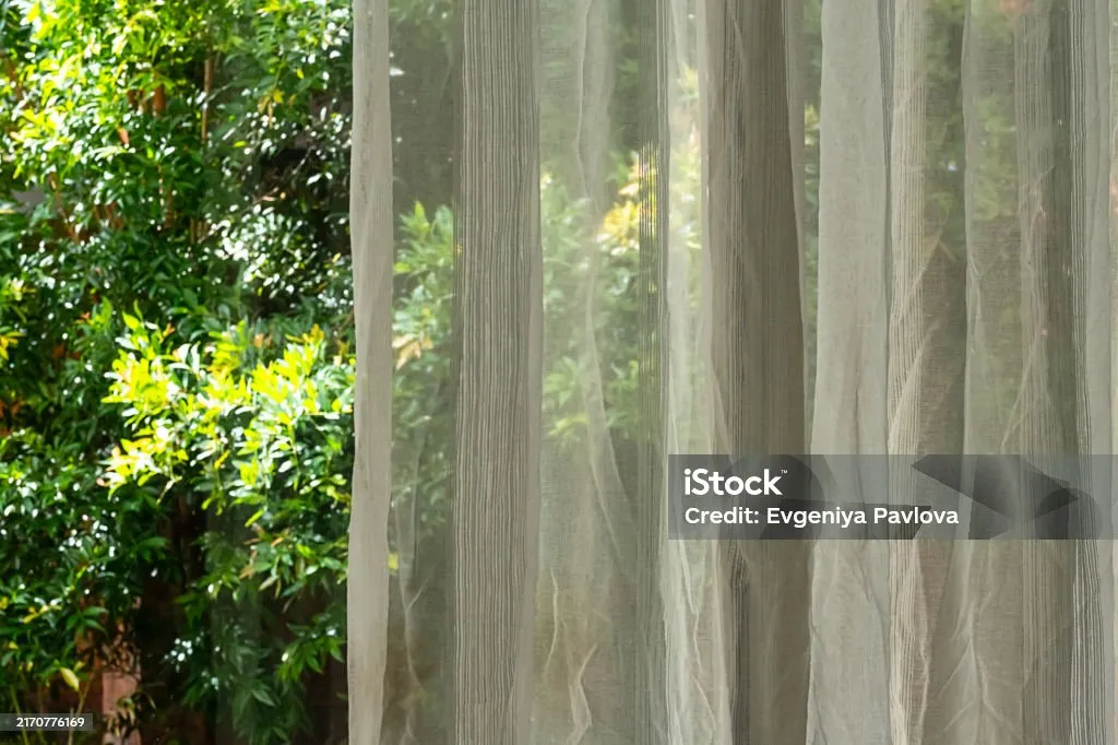 Sheer Fabric